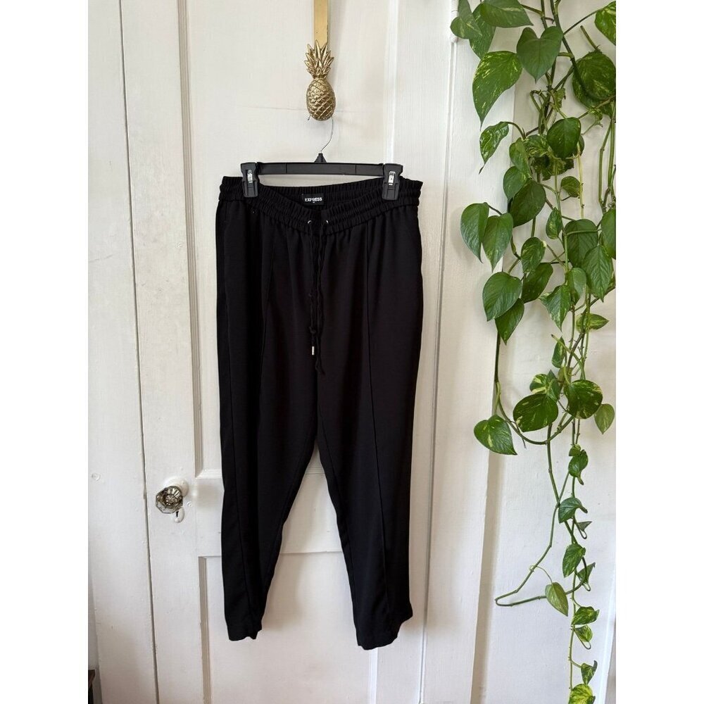 Express women’s size medium black casual pants